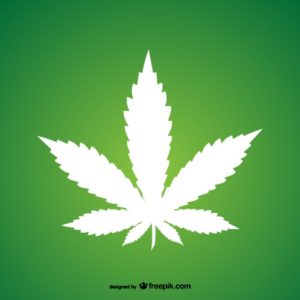 marijuana-leaf_23-2147501610