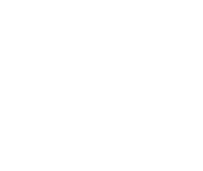 Todd L. Levitt, Attorney at Law